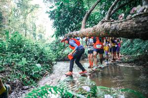 BIB: 
                            <button type="button" onclick="openModal(25456675)" class="btn btn-primary btn-sm float-right btn-popup" data-toggle="modal" data-target=".modal-high-quality">
                        <i class="fas fa-shopping-cart"></i> Add to Cart
                    </button>
                                            <button type="button" onclick="isThisMe(25456675, true)" class="btn btn-success btn-sm float-right btn-popup btn-isme hidden" data-toggle="tooltip" data-placement="bottom" title="นี่คือรูปของคุณใช่ไหม คลิกที่นี่เพื่อเอาเข้าอัลบั้ม">
                        <i class="fas fa-plus"></i> Add to album
                    </button>
                    <button type="button" onclick="isThisMe(25456675, false)" class="btn btn-warning btn-sm float-right btn-popup btn-isnotme hidden">
                        <i class="fas fa-ban"></i> Remove from album
                    </button>